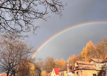 Psiholog Bucuresti - Psihoterapeut Viorel Luță