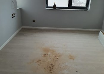 Laboratorul de curatenie