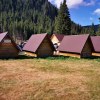 Cabana Obârşia Lotrului