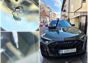 Reparatii parbrize - ciobituri, fisuri de piatra, la domiciliu - inovative glass repair