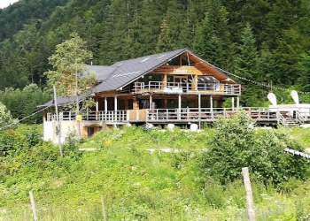Căprioara