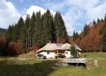 Cabana Pietricica