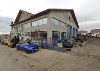 AUTOCAM DEZMEMBRARI BUHUSI
