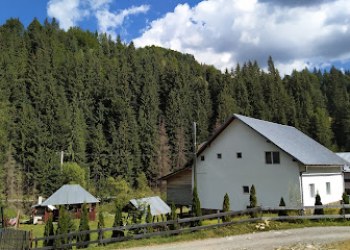 Vila Vanesa