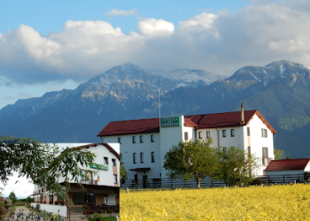 Cetatea Craiului